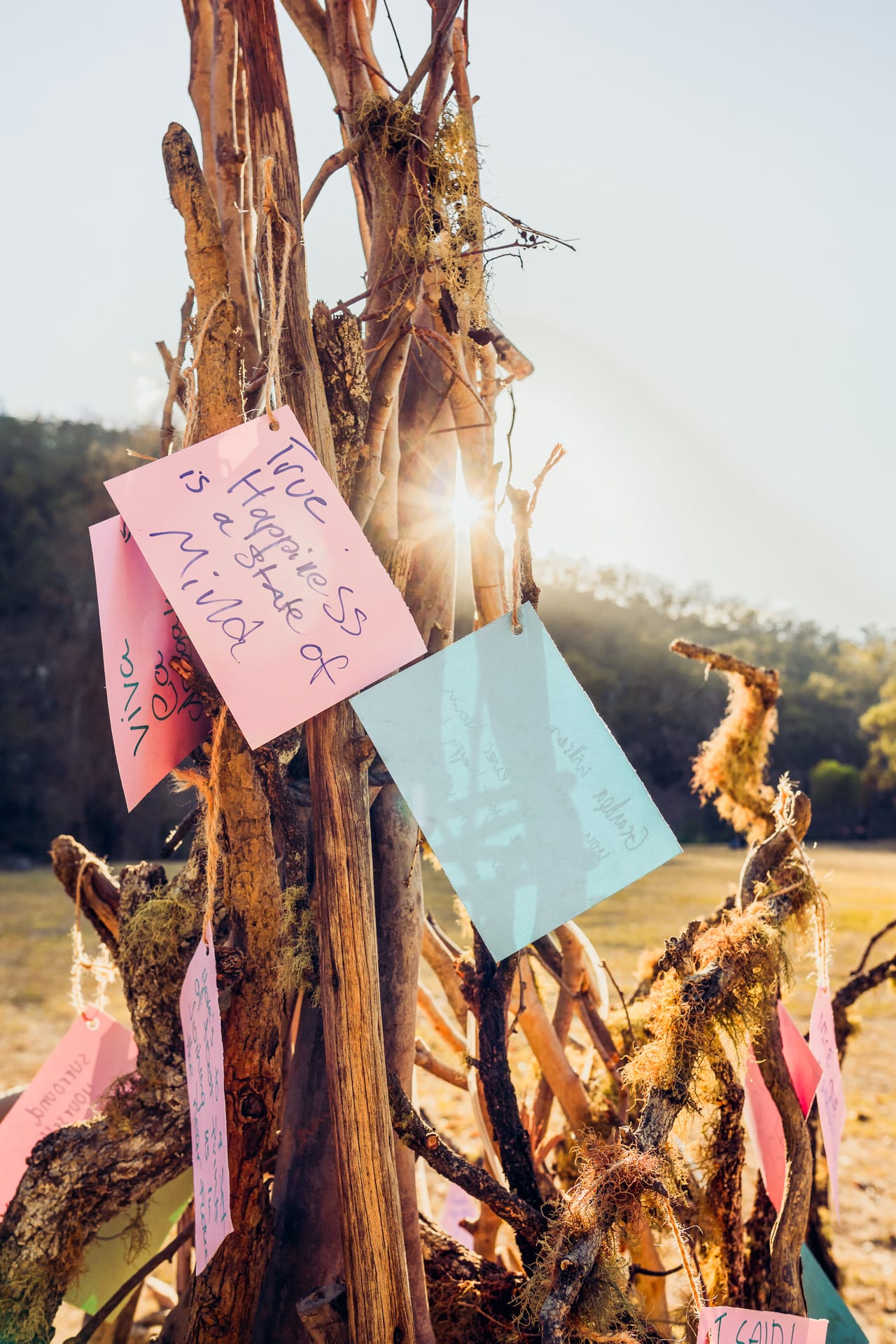 Collecting Shards Newsletter